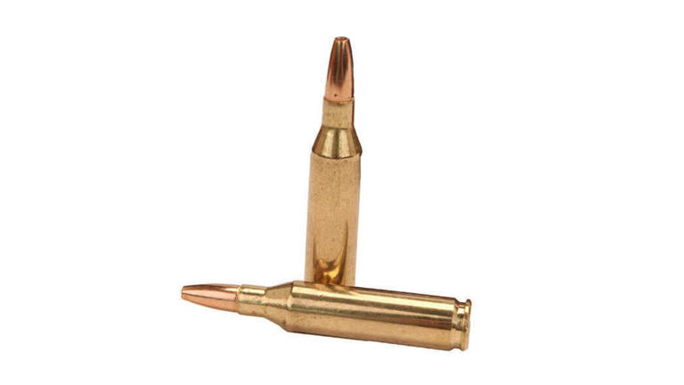 Calibers that destroy more meat than they save