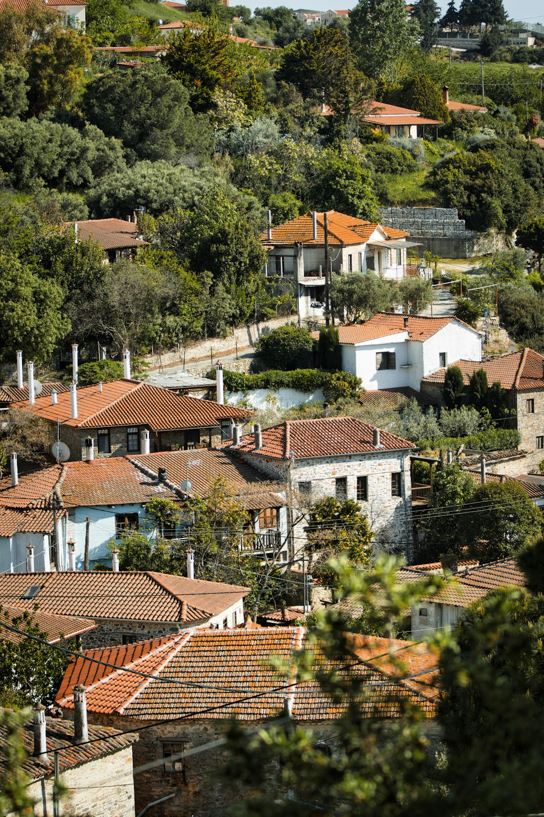 The Power of Presence Over Productivity (Image Credits: Unsplash)