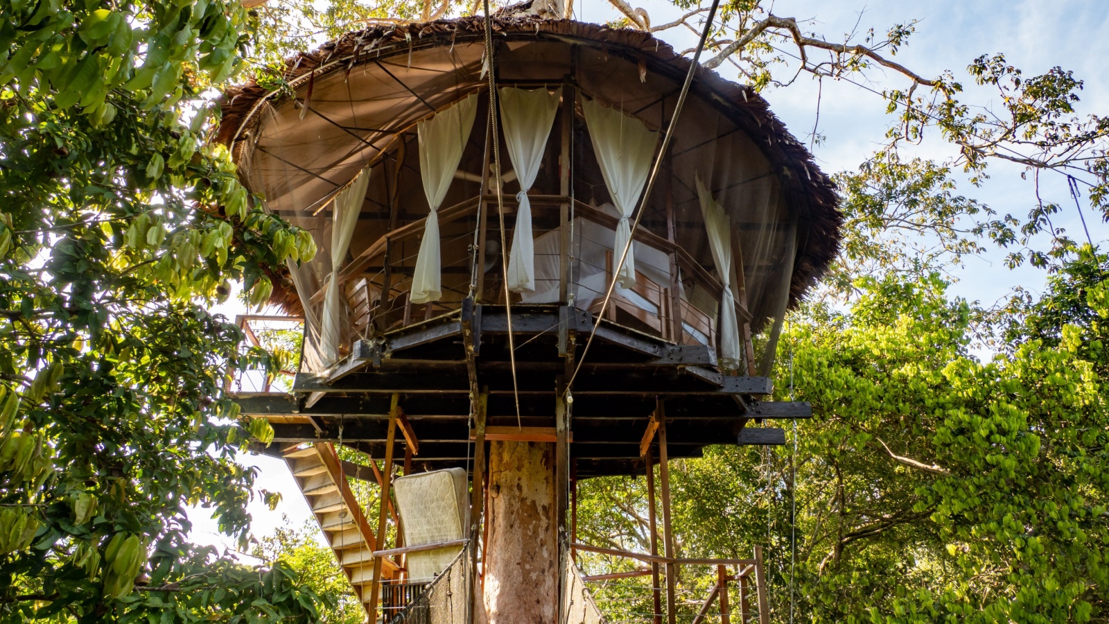 Camp in a treehouse that includes sauna and autumn views