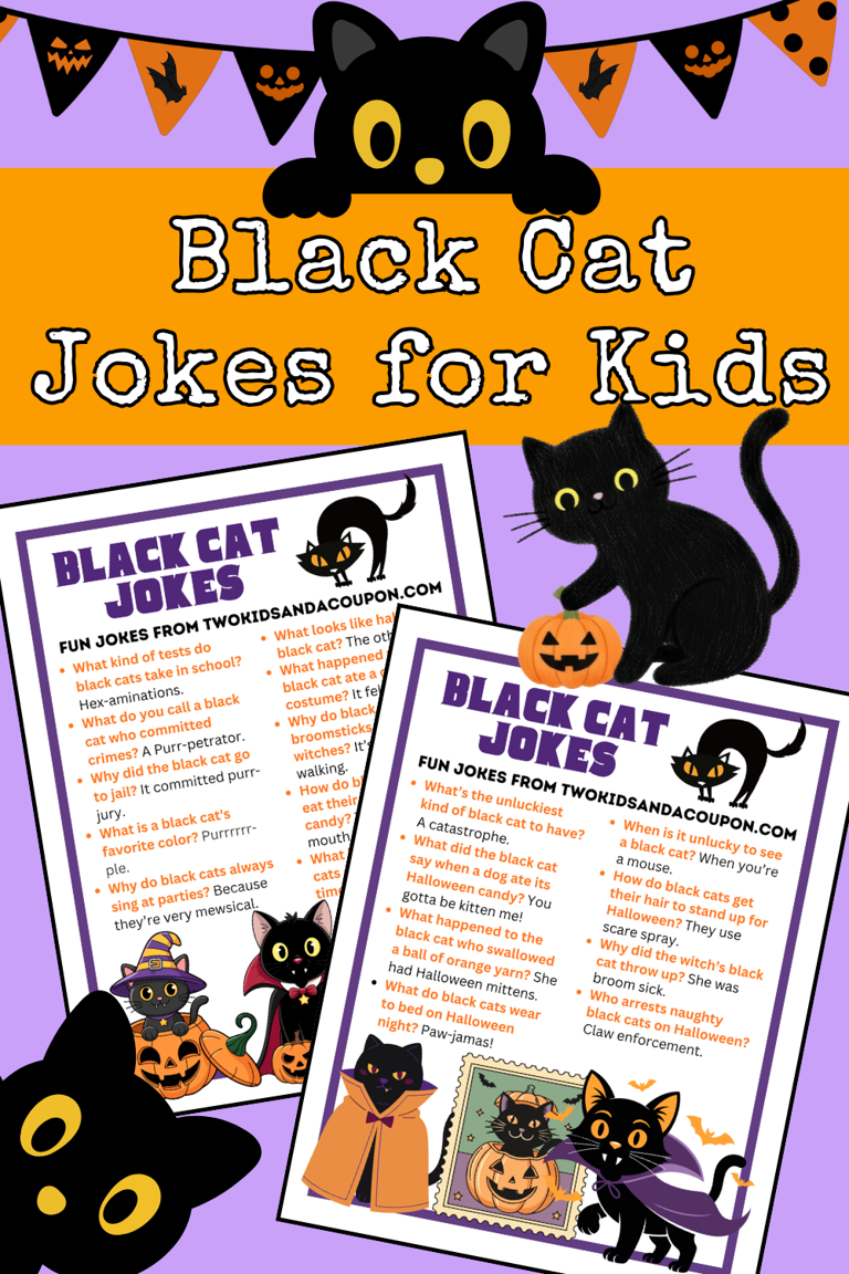 Are These Jokes Bad Luck? Absolutely Not! Hilarious Black Cat Jokes