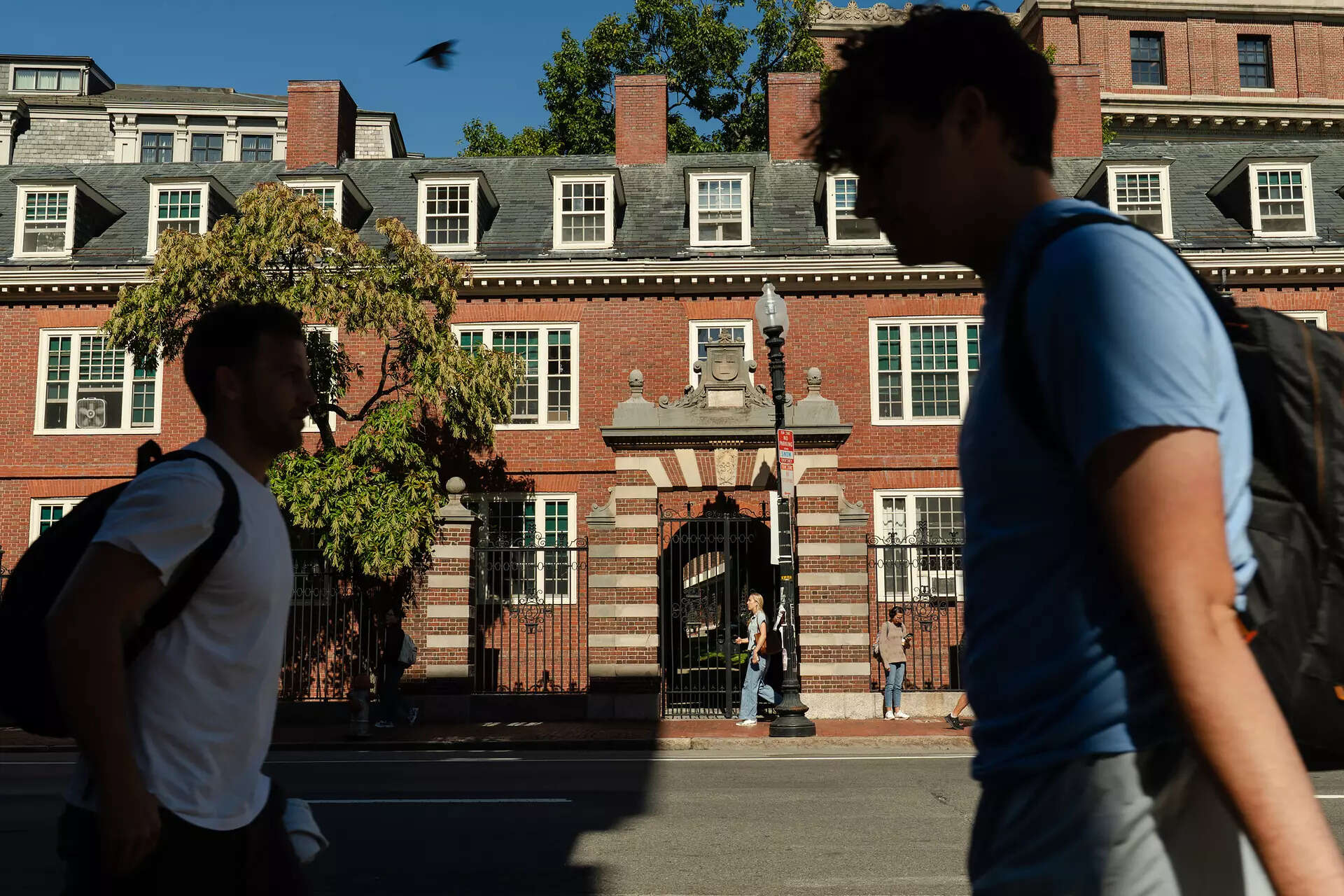 An ‘A’ for average: Is Harvard’s grade inflation damaging its academic ...