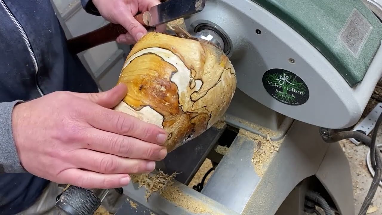 Why this decayed piece of wood deserved a second chance