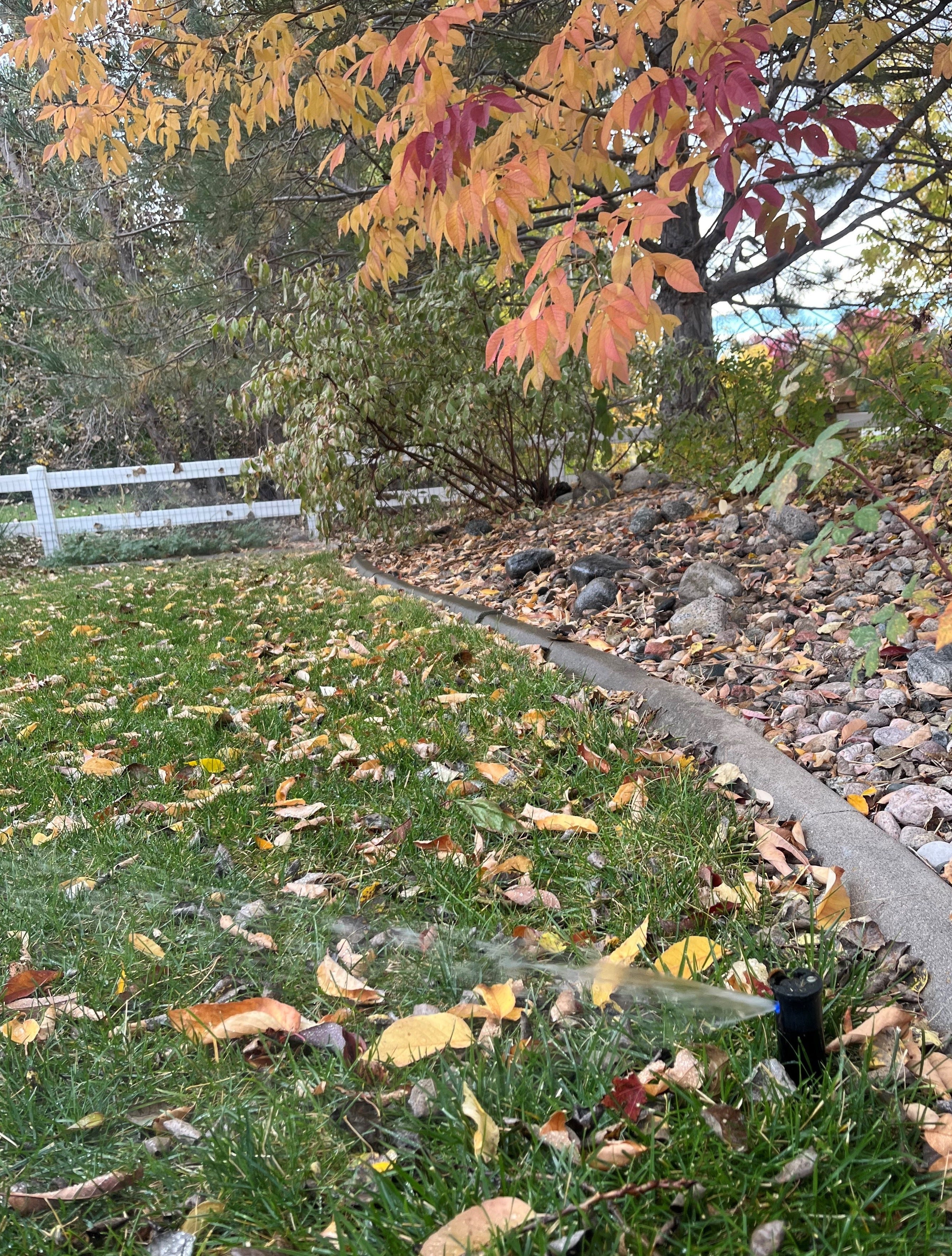 How to drain or blow out your sprinkler system before frigid forecast ...