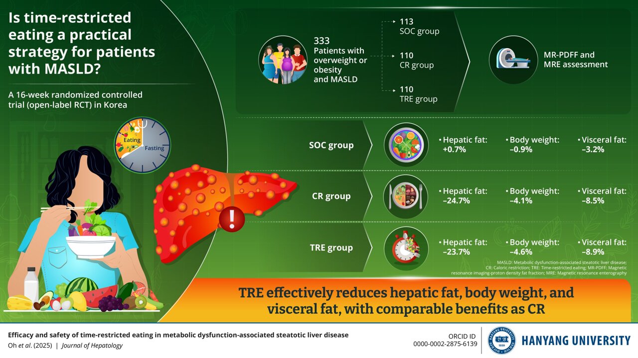 Picture of Exploring role of time-restricted eating in controlling metabolic ...