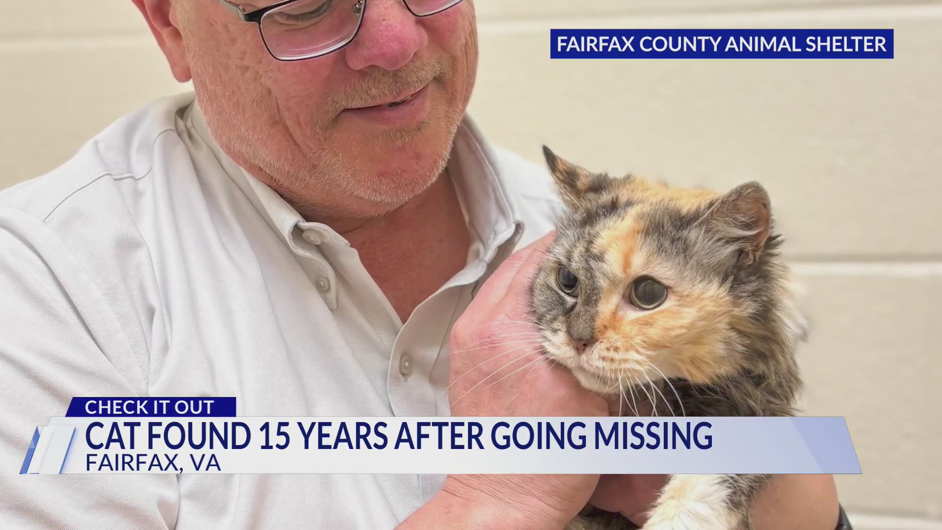 Cat found 15 years later after going missing in Fairfax County