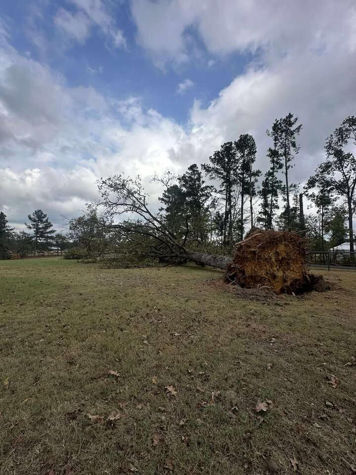 Storm brings heavy damage north of Lindale