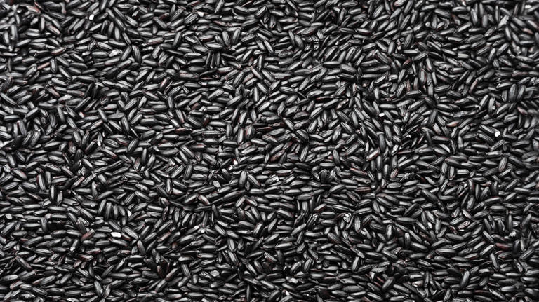 7 Types Of Rice Explained