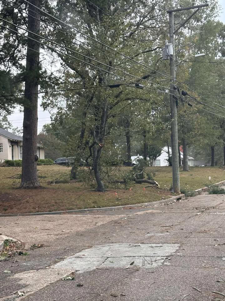 Powerlines entangled in downed trees following radar-confirmed tornado ...