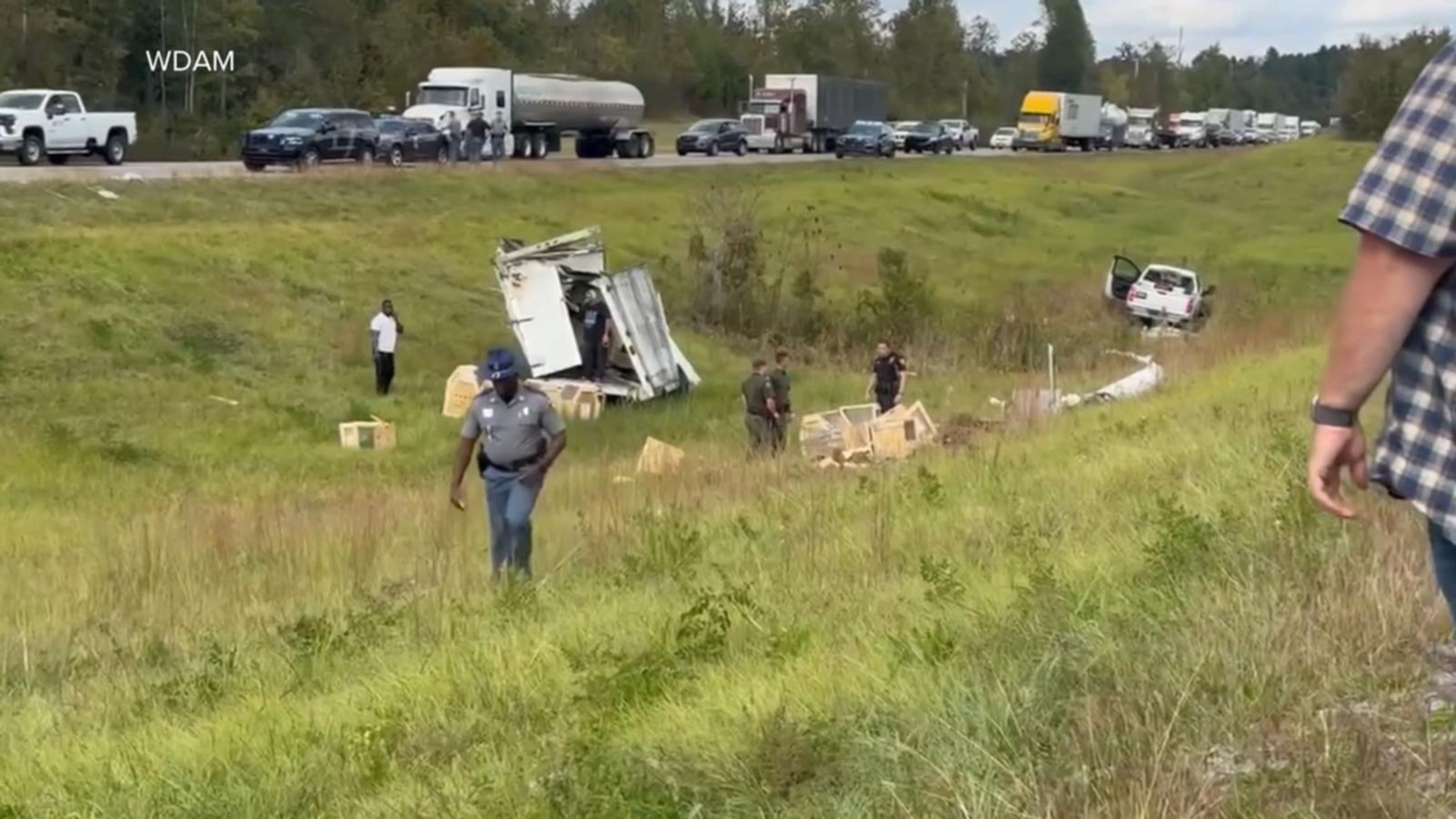 Research monkeys escape after transport truck crashes in Mississippi