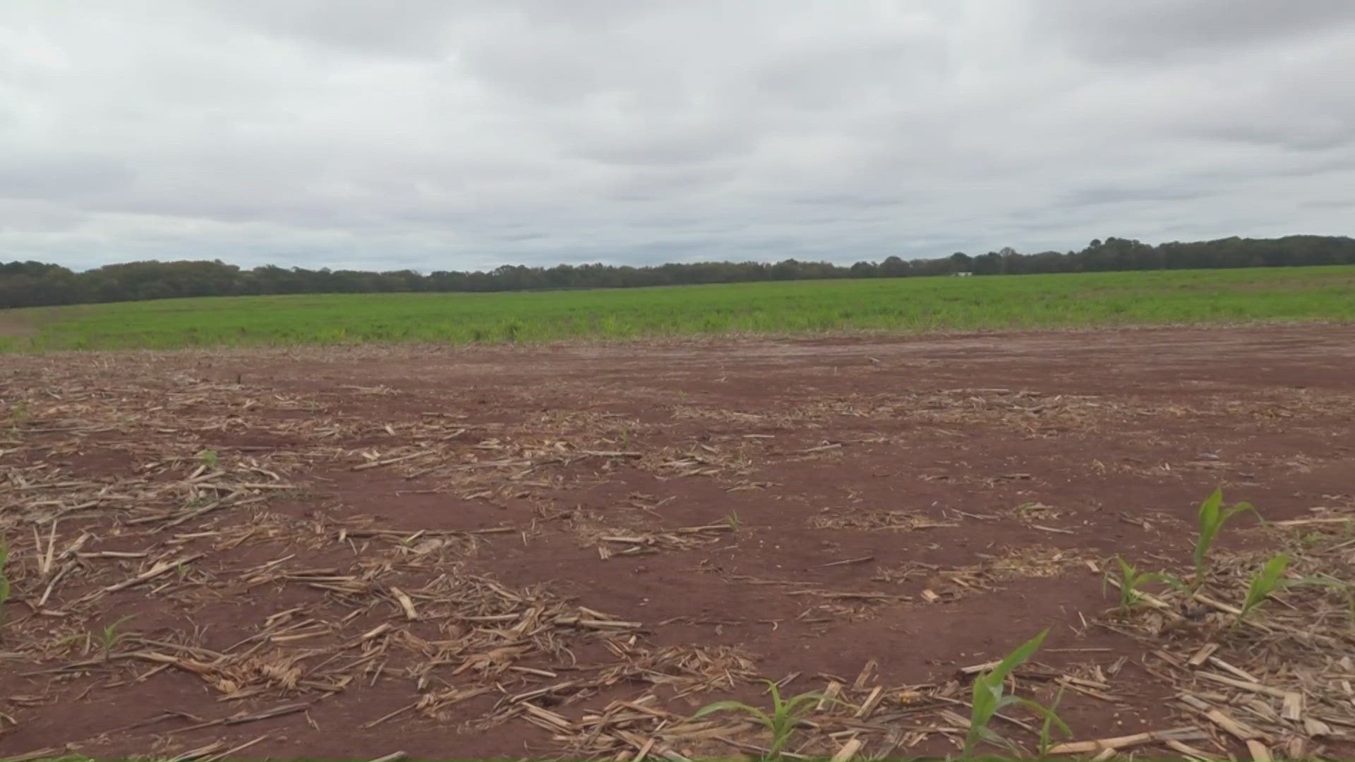 Huntsville plans massive Westmore Landing development in Limestone County