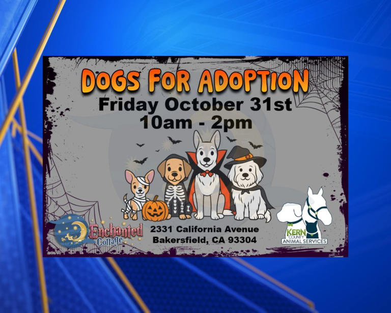 Kern County Animal Services to host adoption event at Enchanted Cottage