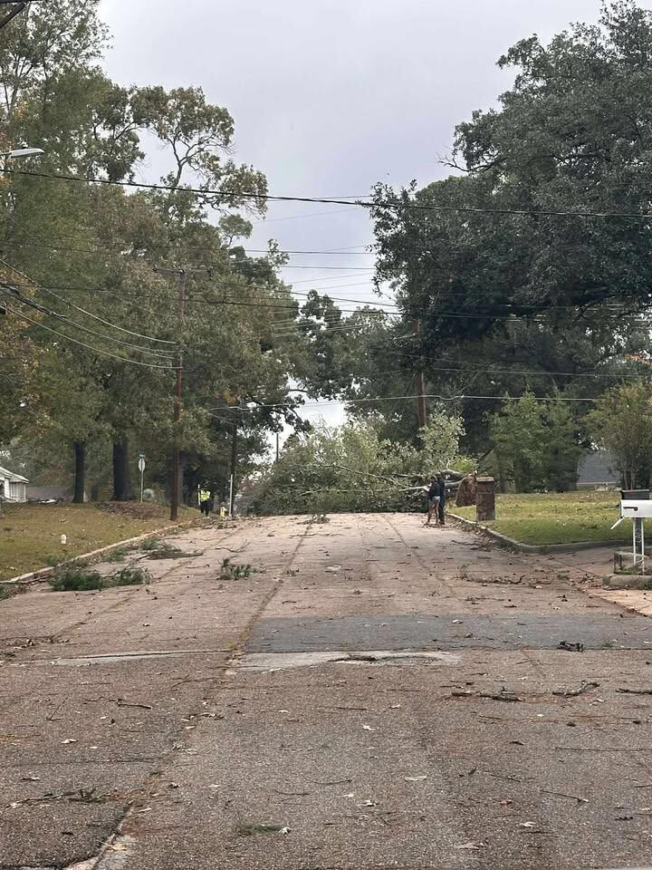 Powerlines entangled in downed trees following radar-confirmed tornado ...