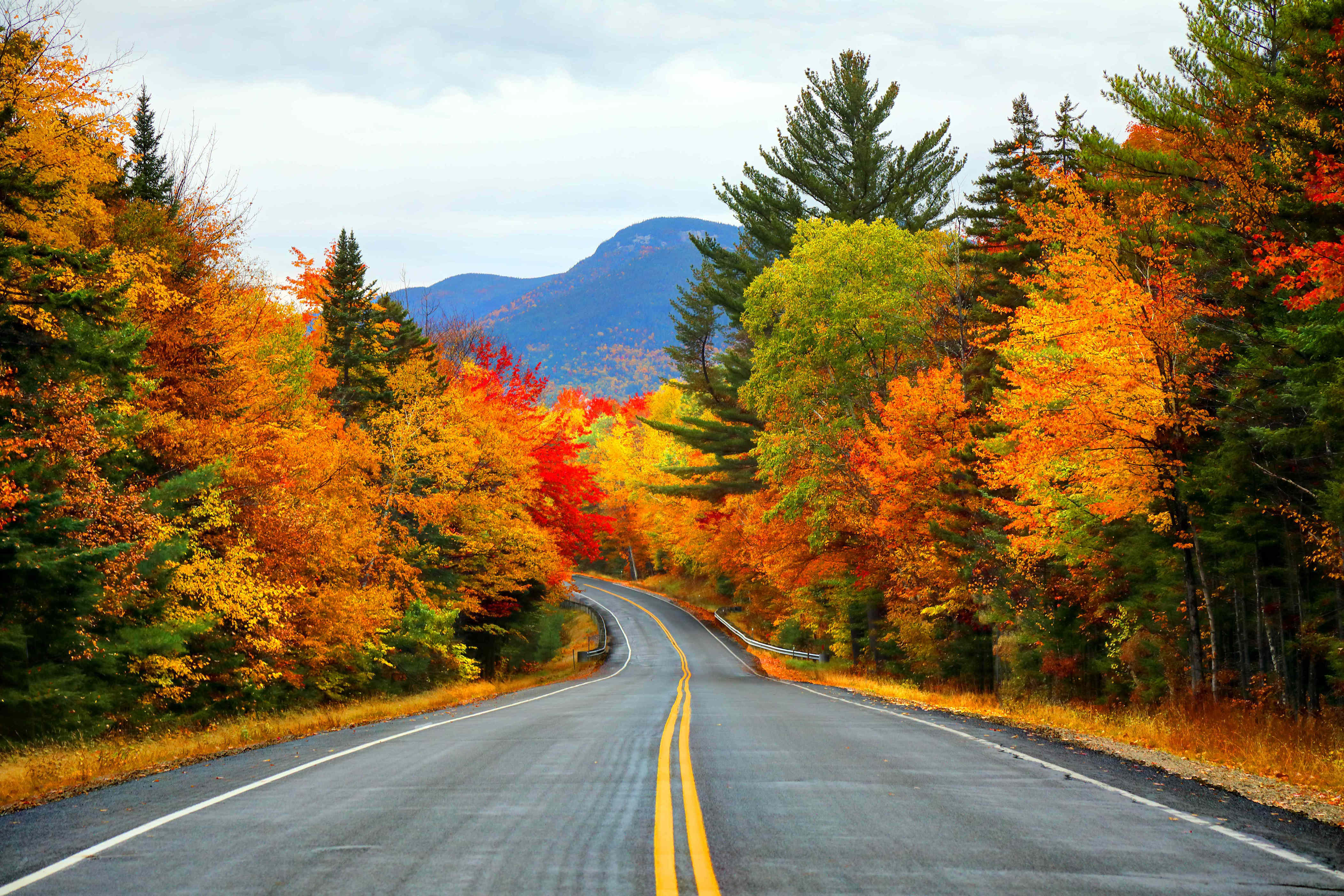 Will Thanksgiving Travel Be a Mess This Year? Here’s What the Old ...