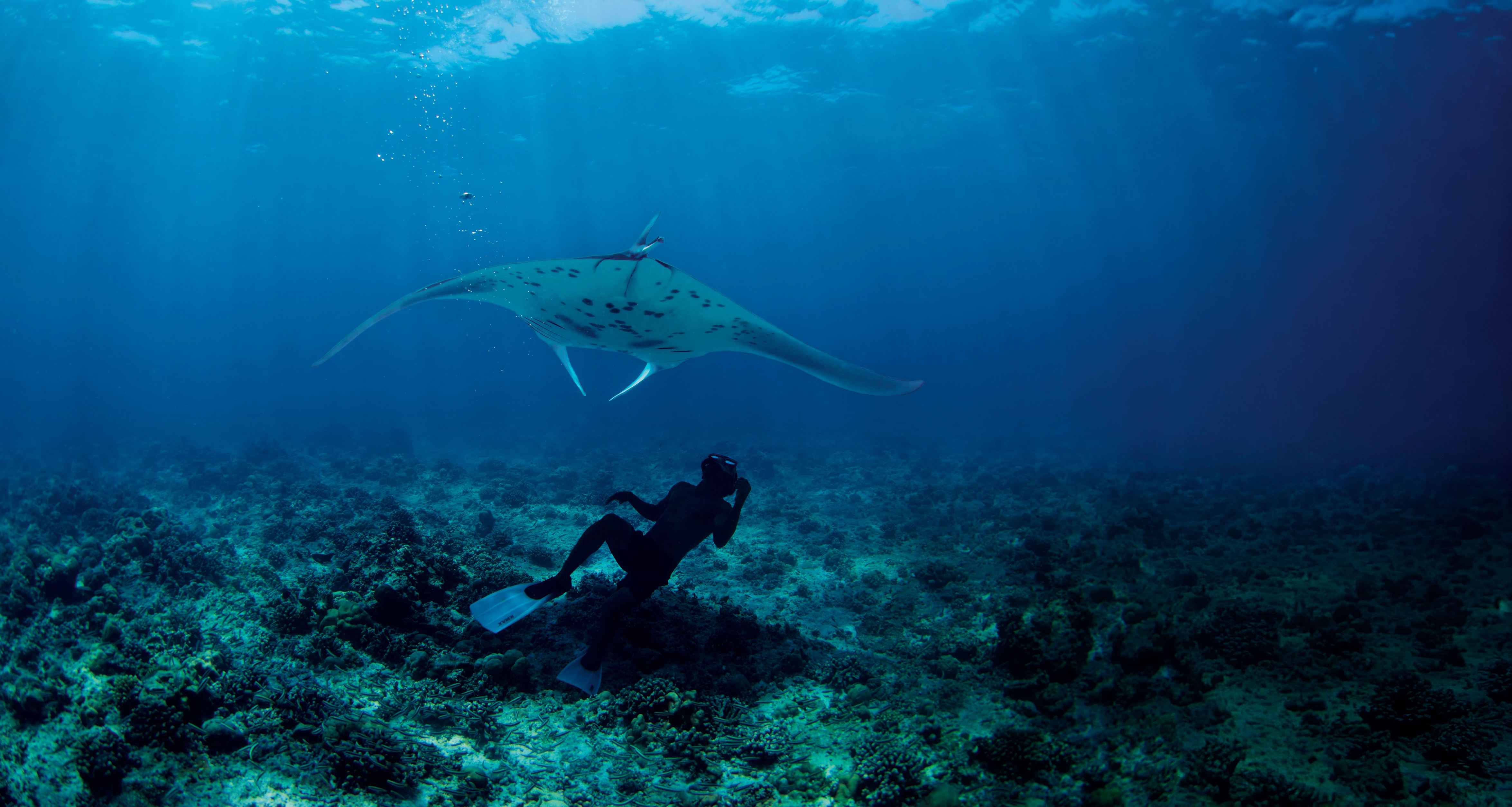 AA1Pngju.img?w=4699u0026h=2510u0026m=4u0026q=79