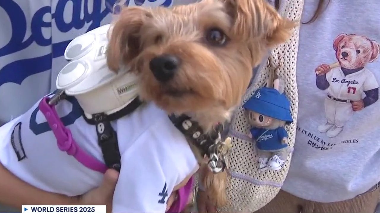 Can never have too much Dodger gear fans in Inland Empire say amid