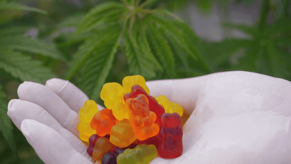 Parents advised to check Halloween candy for cannabis as look alike