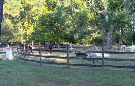 The Ranch in Madison forced to shut down after 45 years of service