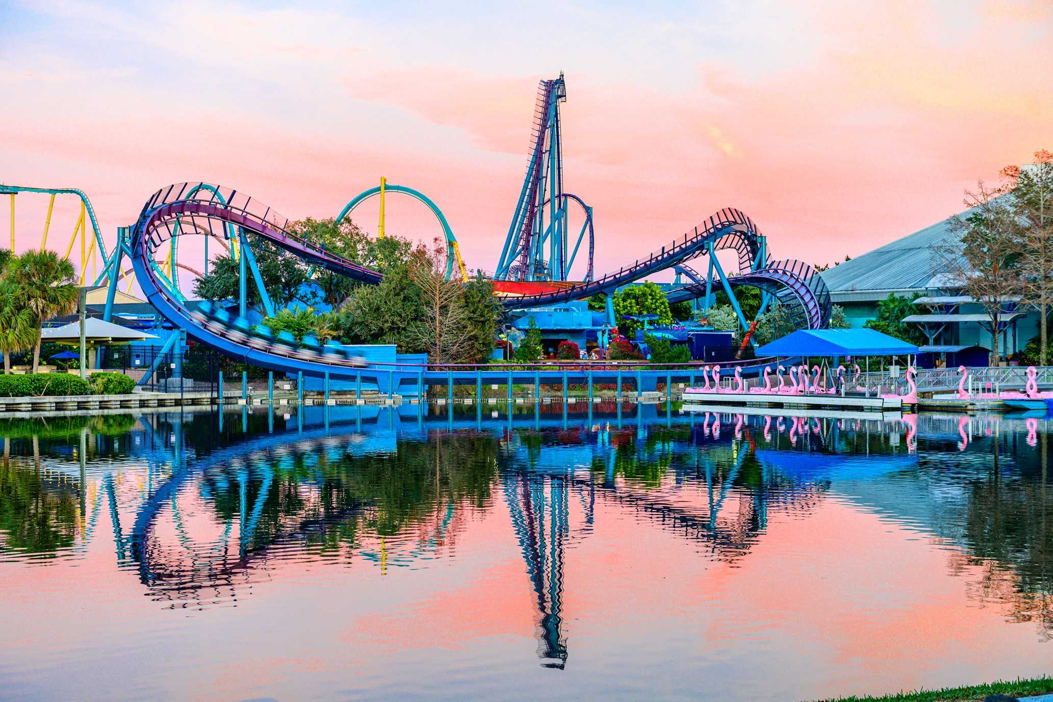 Woman sues SeaWorld after duck allegedly flies into her face while ...