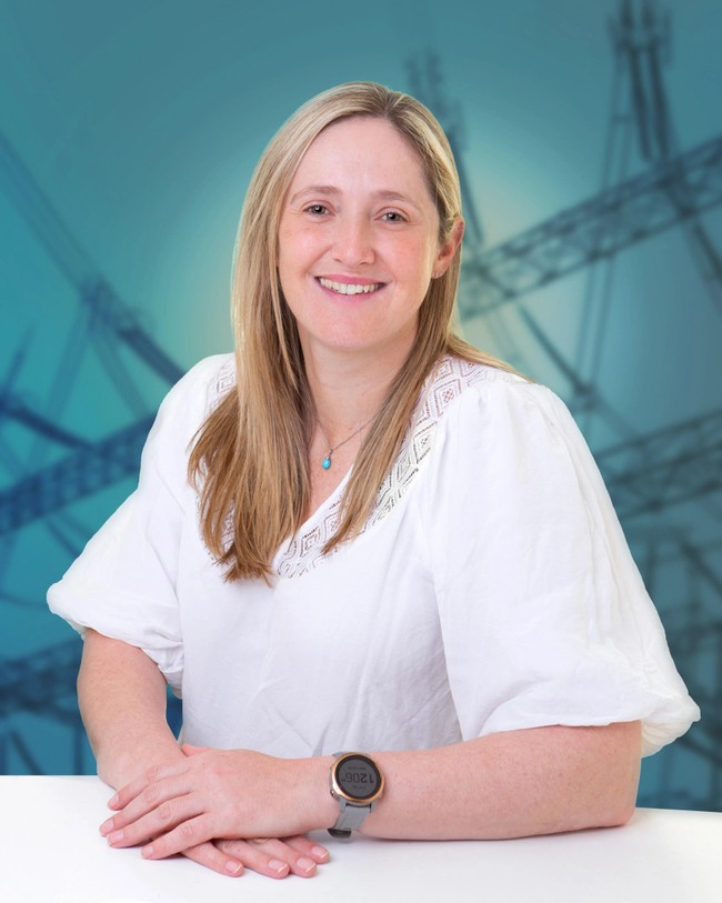Public-private partnerships that saved SA’s energy sector can rescue ...