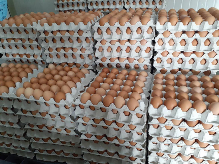 เคล็ดลับจากตัวจริง ล้งไข่ เฉลยแล้ว ซื้อไข่ไก่เบอร์ไหนคุ้มสุด