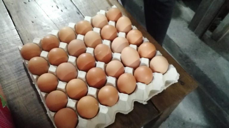 เคล็ดลับจากตัวจริง ล้งไข่ เฉลยแล้ว ซื้อไข่ไก่เบอร์ไหนคุ้มสุด