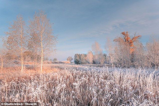 Expert Reveals Why Cold Air Smells Fresh as Brits Plan Winter Getaways