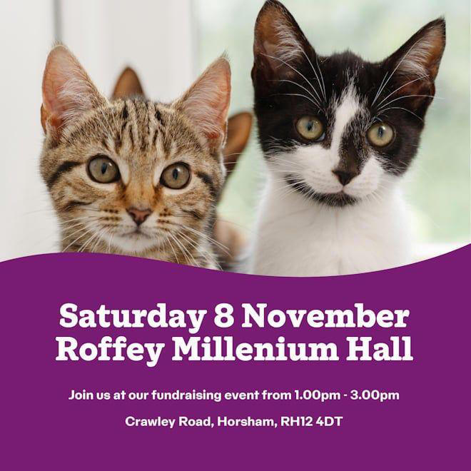 Cats Protection Horsham Branch - fundraising event