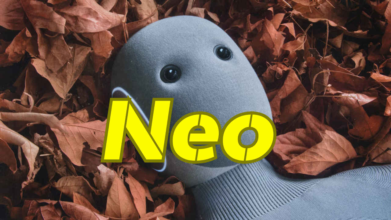 Meet NEO: Humanoid robot designed as your home assistant for ₹18 lakh