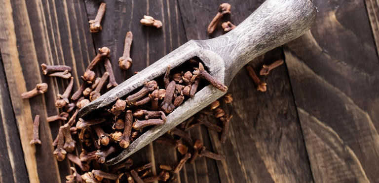 حبات القرنفل