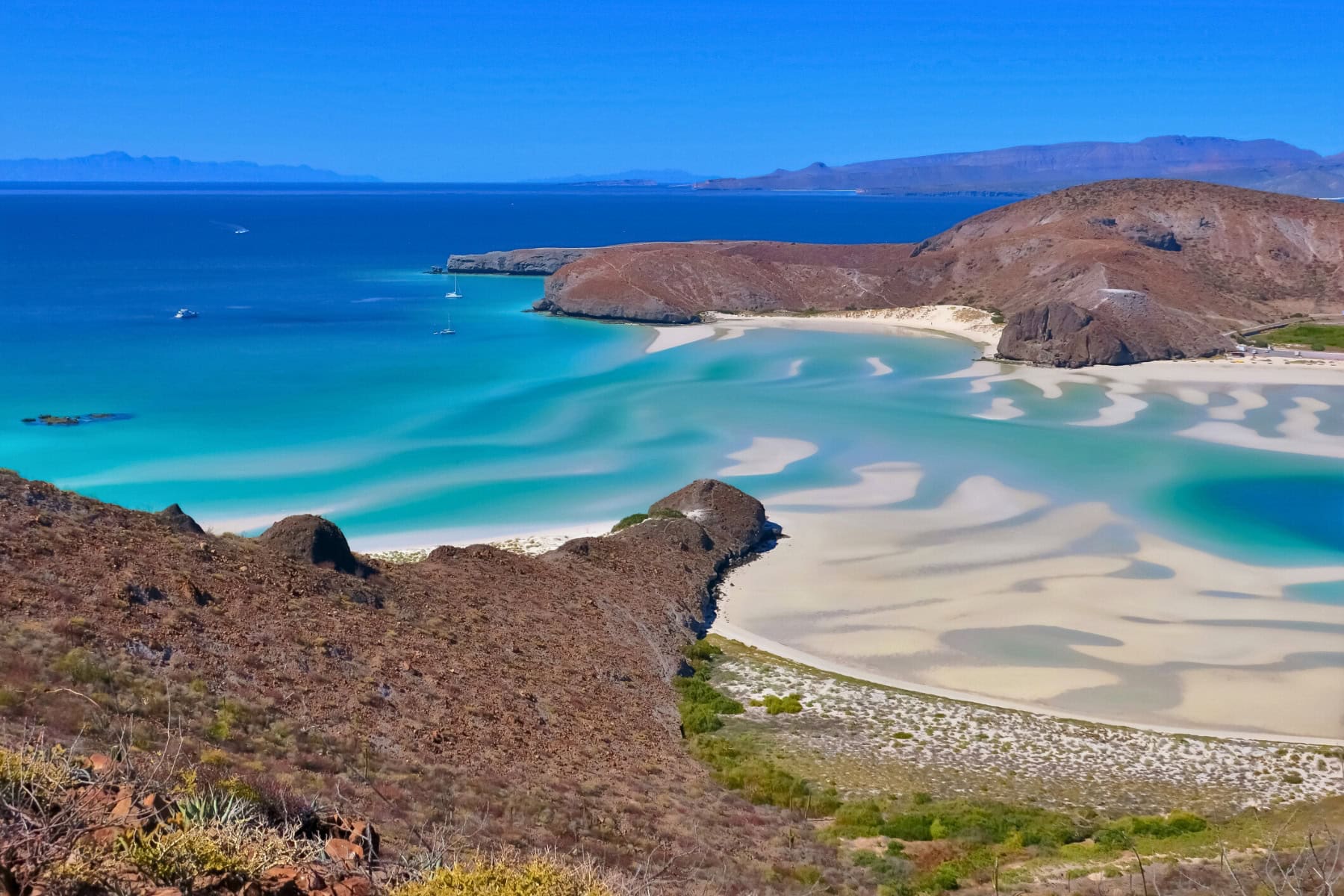 Sea lions, fish tacos and mezcal: A week in La Paz, Mexico