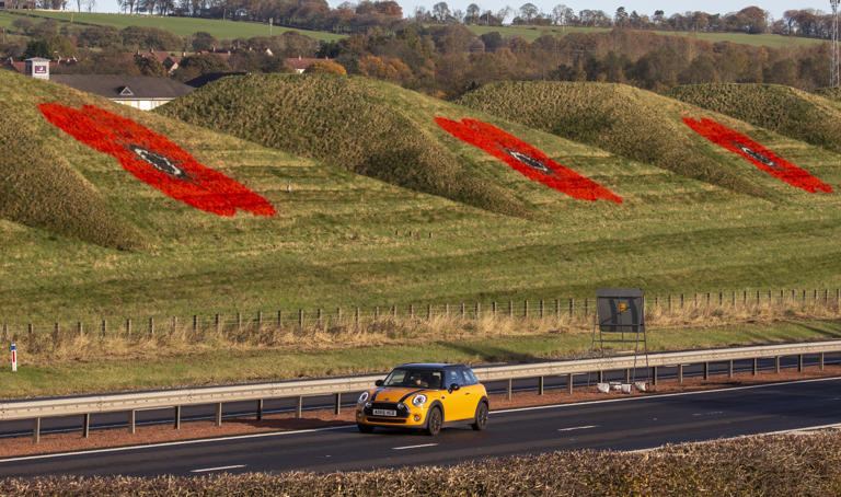 Stunning images capture three 30ft painted poppies on side of M8 at ...