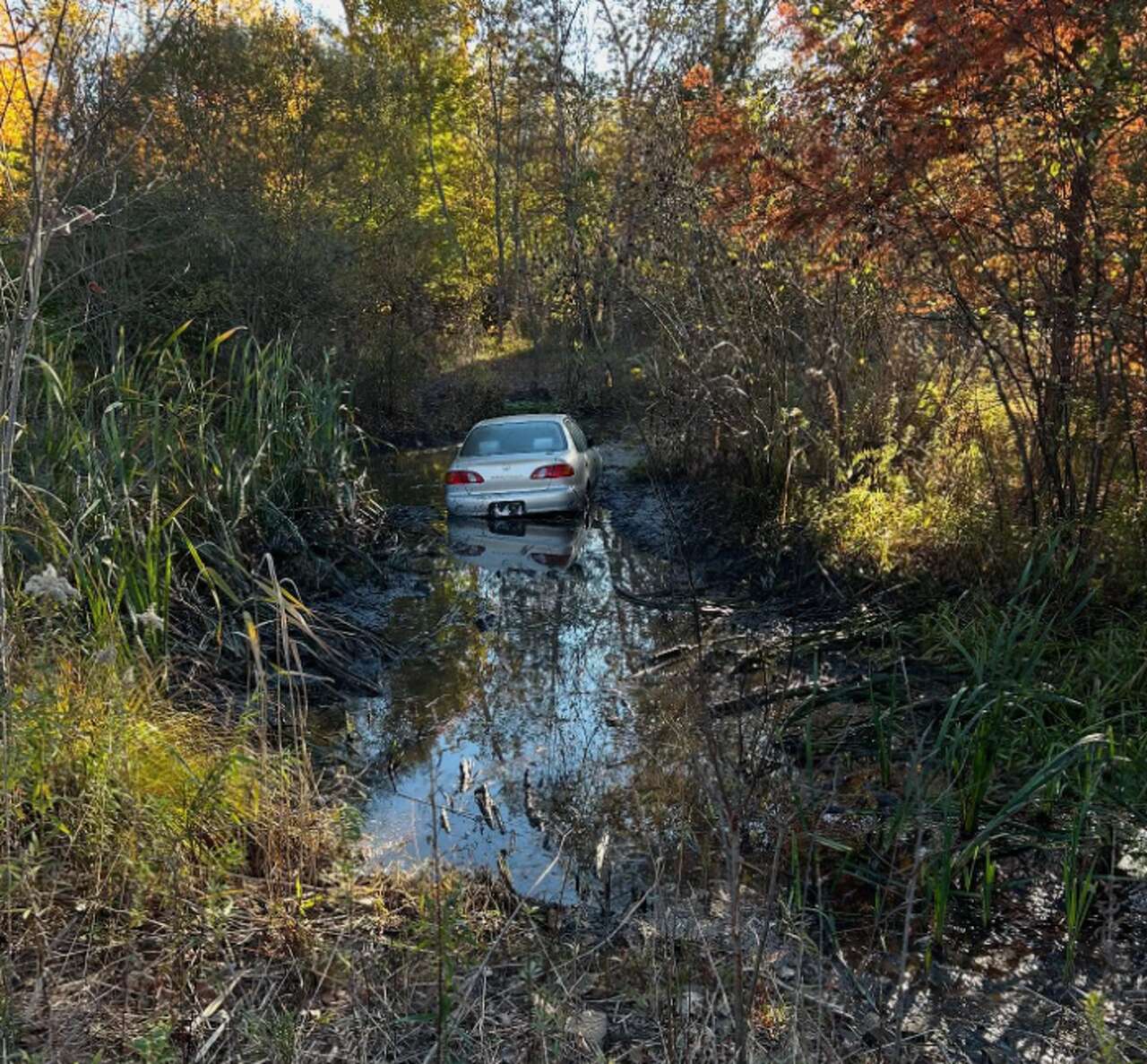 Pedestrian nearly hit after driver went off CT road and into pond ...