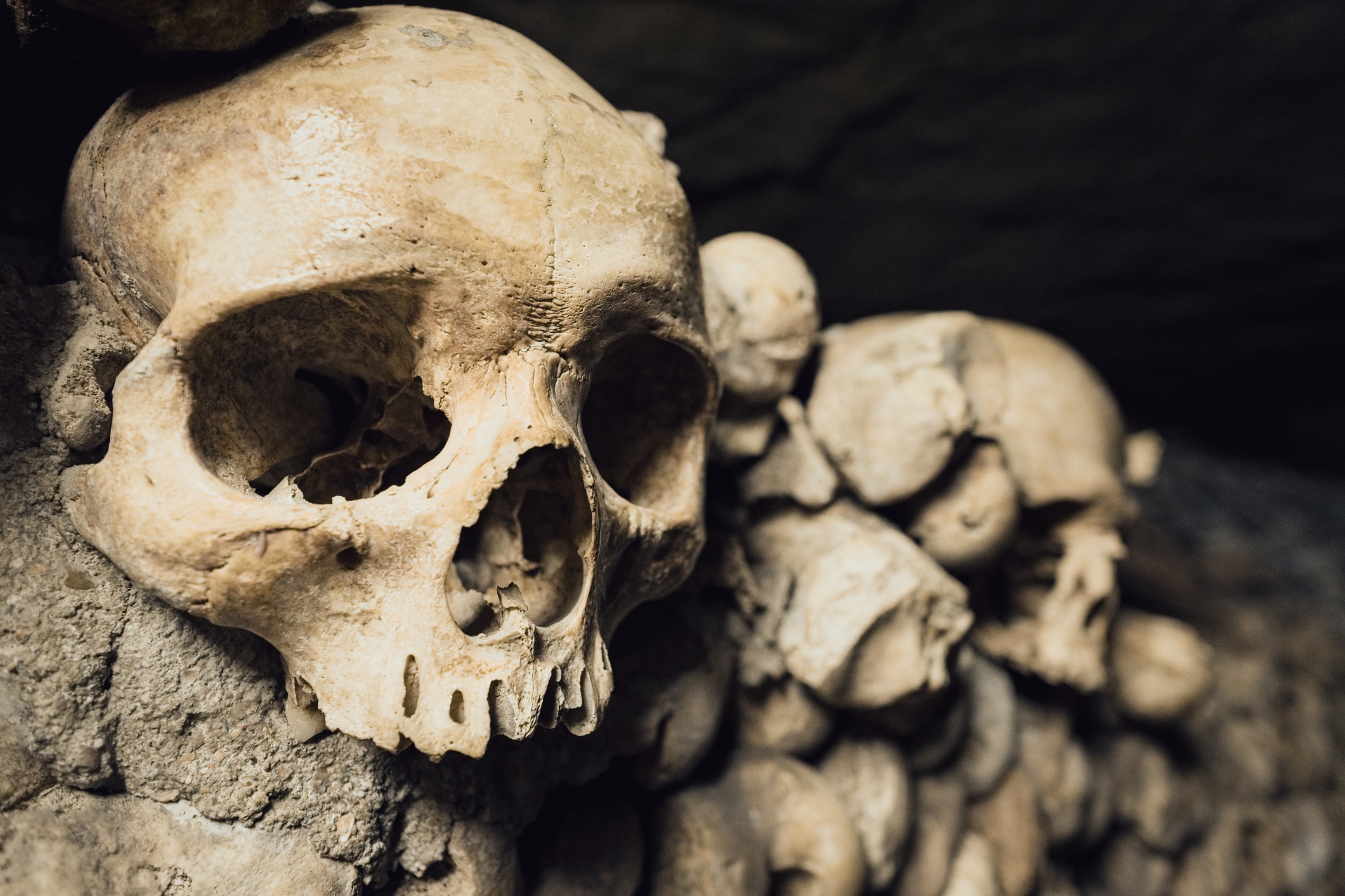 Human skulls lined up in an ancient catacomb, creating an eerie atmosphere of historical significance and fascination