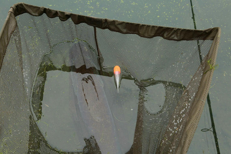 10 Tips to help you catch bigger pike