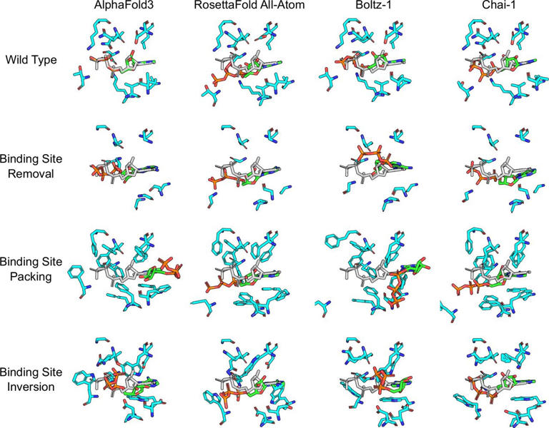 AI models for drug design fail in physics