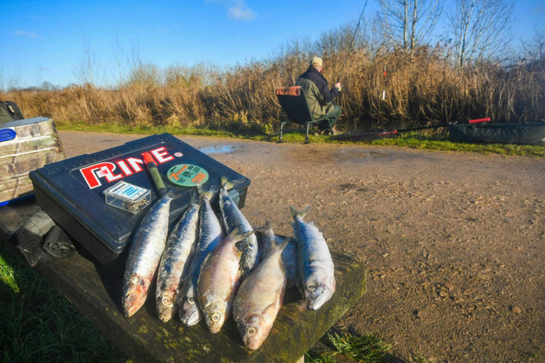 10 Tips to help you catch bigger pike