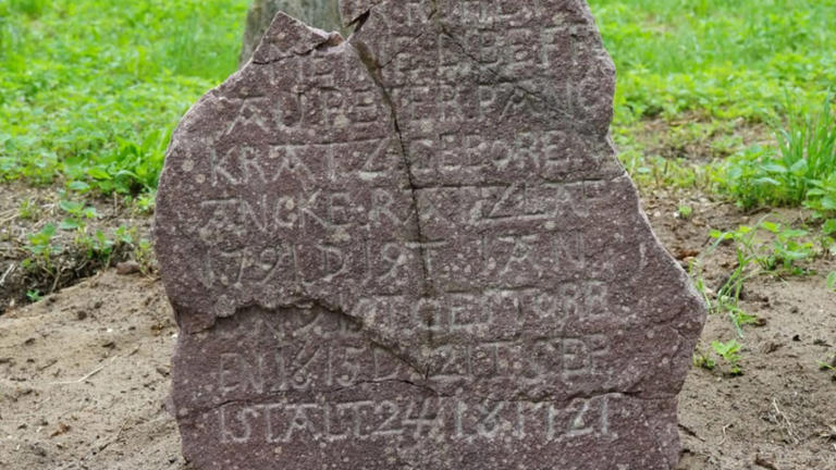 Why Are Textured Oil Paintings the Ultimate 3D Wall Art Choice? - Eco-Friendly Interior Design Trends