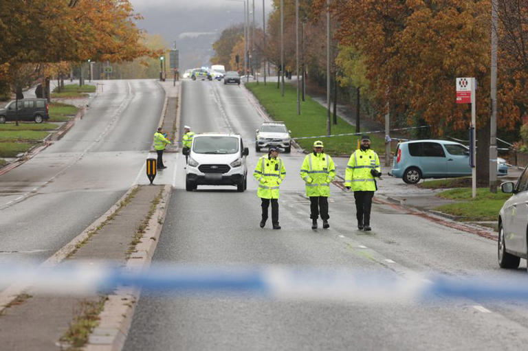 Woman tragically dies after being hit by car in Oldbury