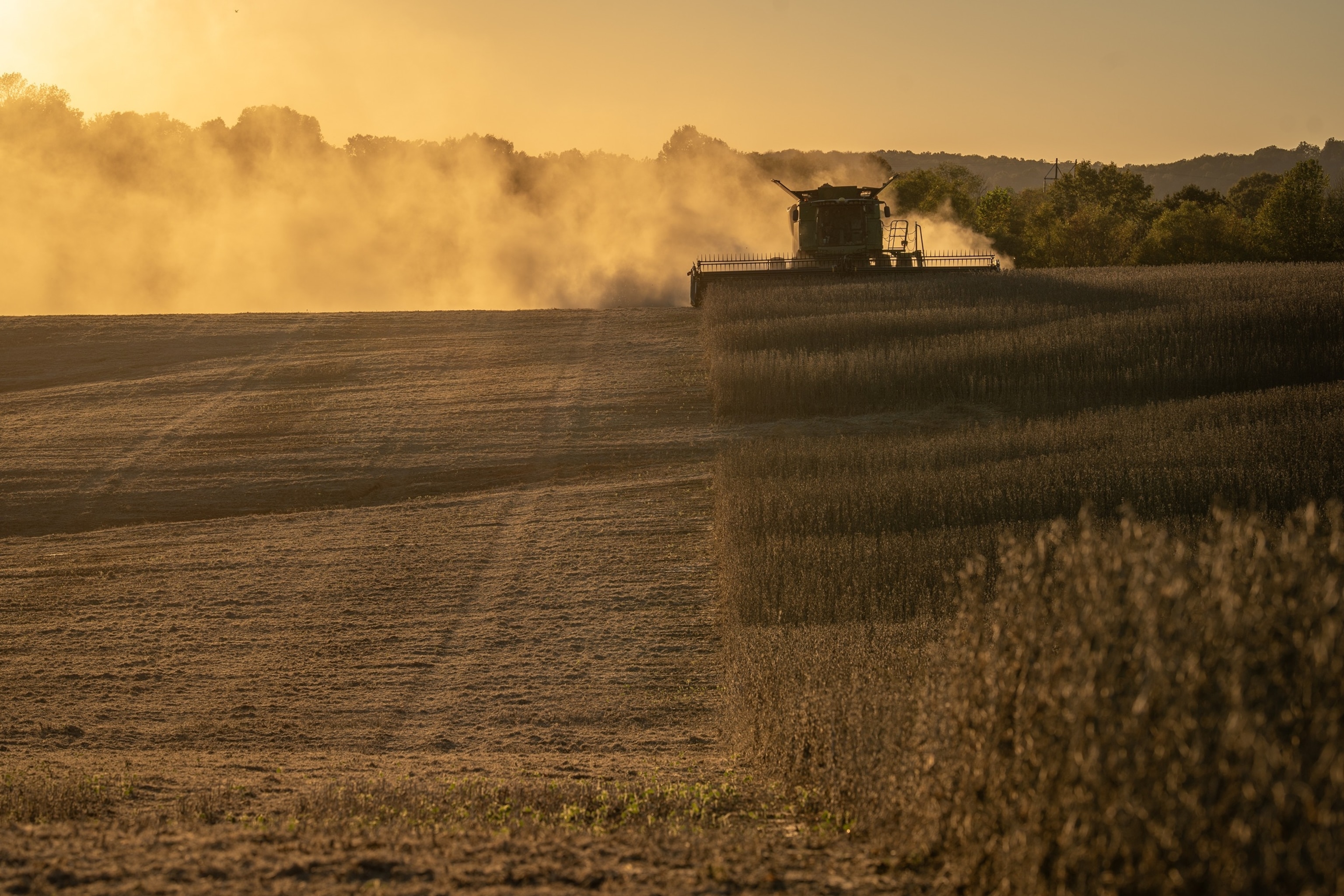 Trump-Xi meeting: Fate of global economy hangs in the balance