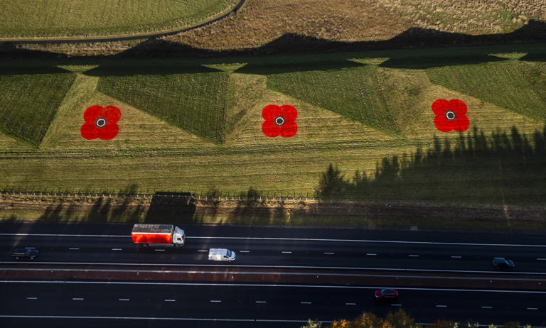 Stunning images capture three 30ft painted poppies on side of M8 at ...