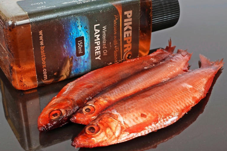 10 Tips to help you catch bigger pike