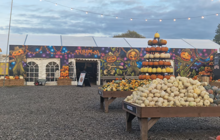 Explore 15 pumpkin patches near Bristol for a last minute Halloween find