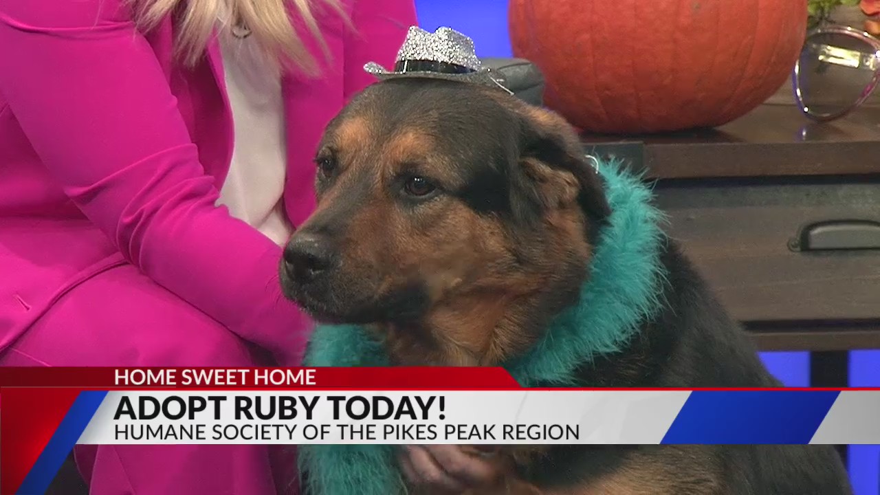 Home Sweet Home: Meet Ruby