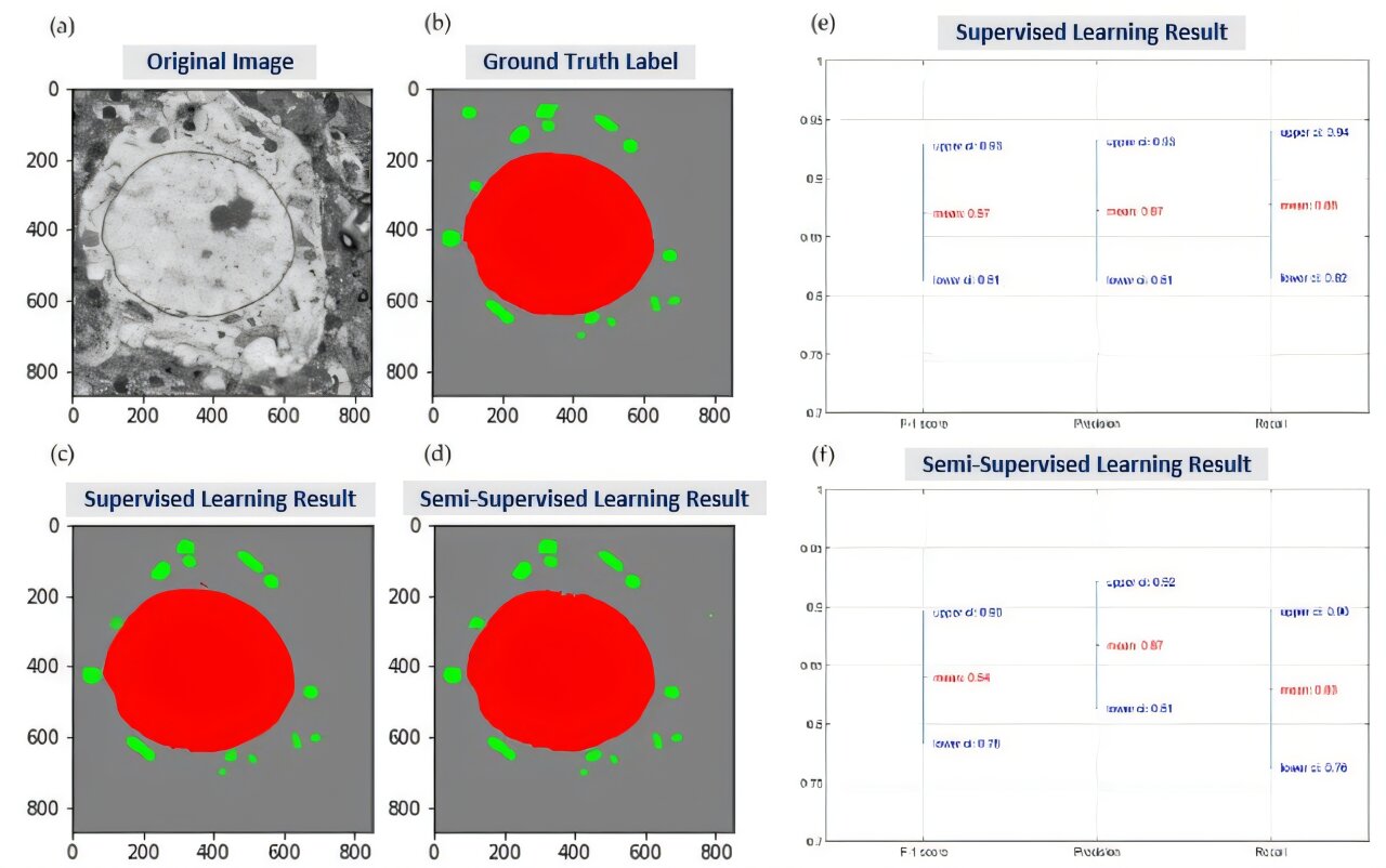 From cells to semiconductors: AI reconstructs microscopic 3D worlds ...