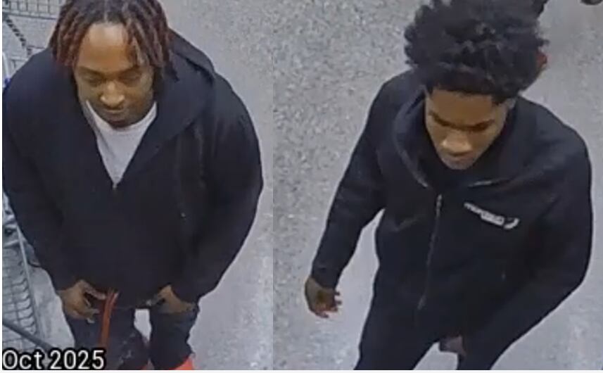 Charlotte Food Lion employee attacked after attempting to confront ...