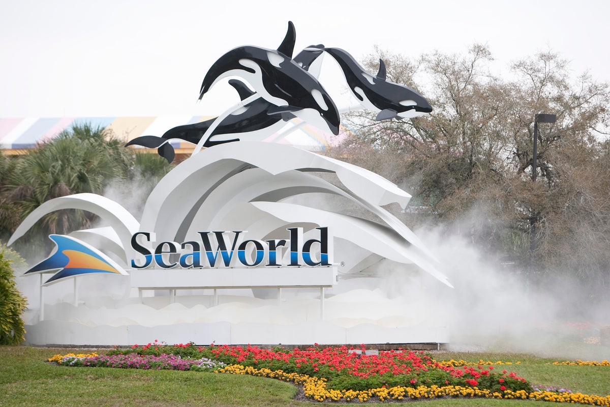Visitor sues SeaWorld after errant duck hit her in the face and knocked ...