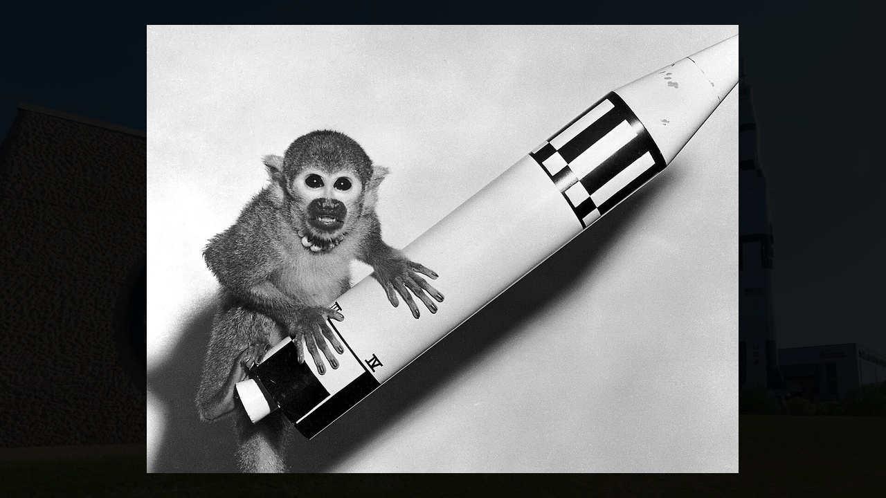 How a Monkey From Miami Helped Us Win the Space Race (And Where to ...