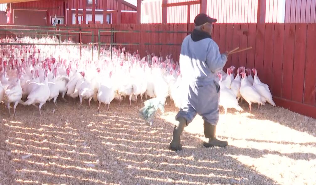Jamaican workers in Vermont grasp for news of hurricane s impacts