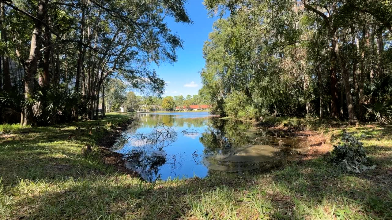Death investigation after woman's body found in Palm Harbor pond: FWC