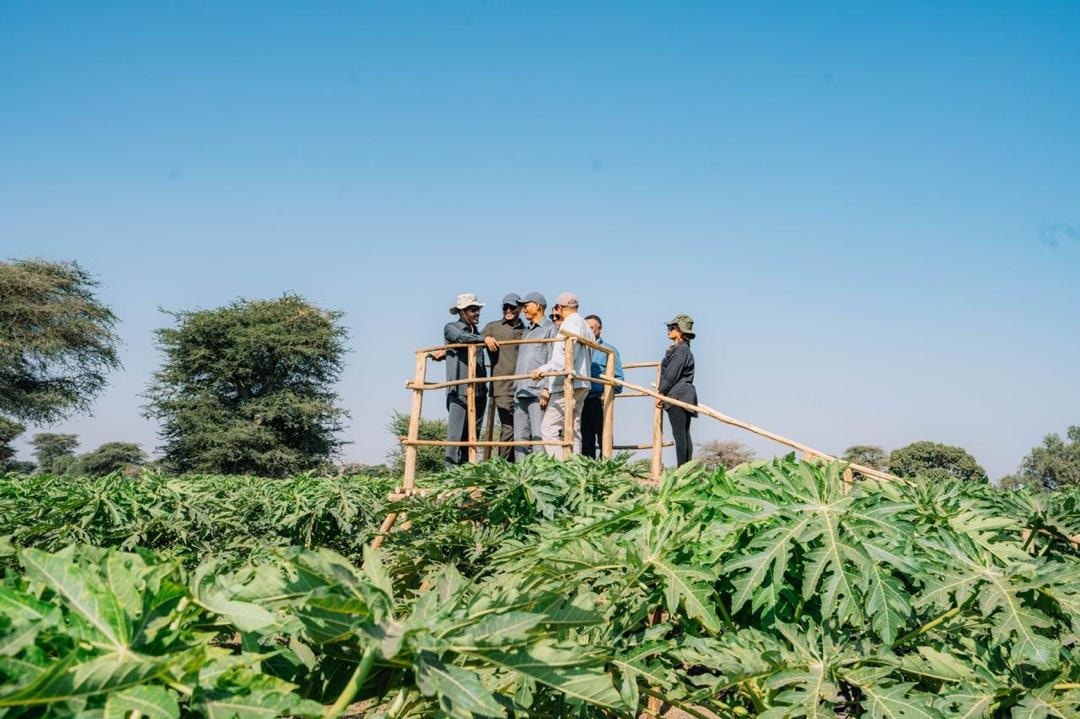 Ethiopia Registering Impressive Year-on-Year Wheat Productivity, Says PM Abiy